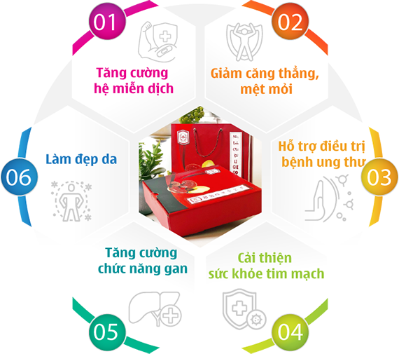 Nấm Linh Chi Đỏ Nhật Bản hữu cơ